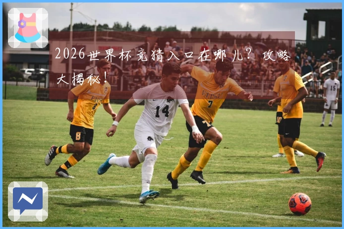 2026世界杯竞猜入口在哪儿？攻略大揭秘！