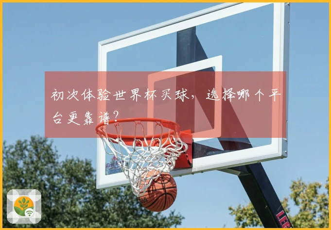 初次体验世界杯买球，选择哪个平台更靠谱？